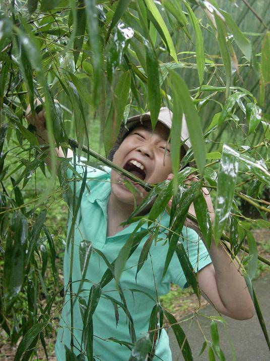 �ضȹ�������----1����