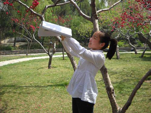 �ϴ�����Ӱ��ʫ����֮��������