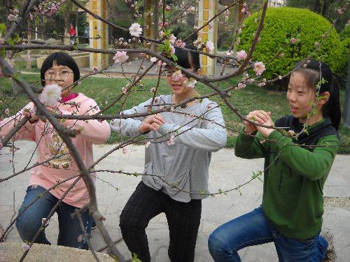 �ϴ�����Ӱ��ʫ����֮��������