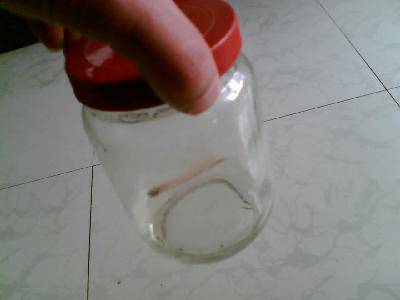 �ҵĿ�ѧСʵ��(3)����