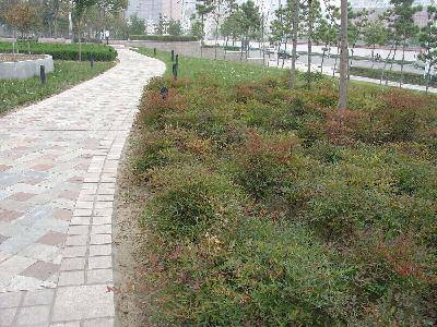 �＾(�ҵĵ�һ��ʫ������