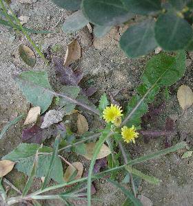 �＾(�ҵĵ�һ��ʫ������