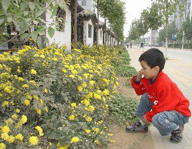 �＾(�ҵĵ�һ��ʫ������