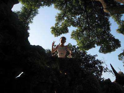 ���Ρ�ʨ���֡�����