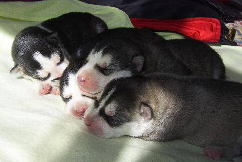 ͵�ġ�������������