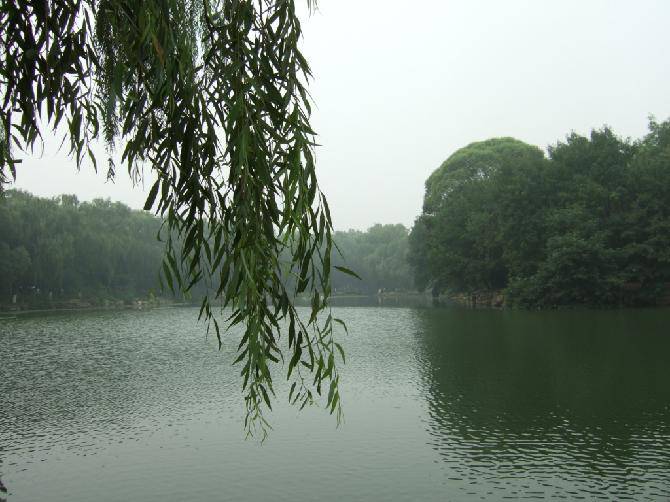 ��������԰����