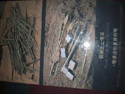 ����֮�á������ر���ٸ�и� ������Ƭ�� �ְֵ��μ�����