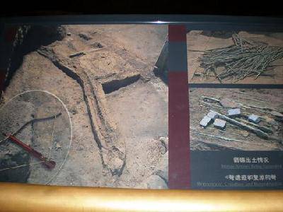 ����֮�á������ر���ٸ�и� ������Ƭ�� �ְֵ��μ�����