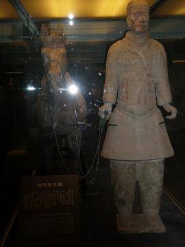 ����֮�á������ر���ٸ�и� ������Ƭ�� �ְֵ��μ�����