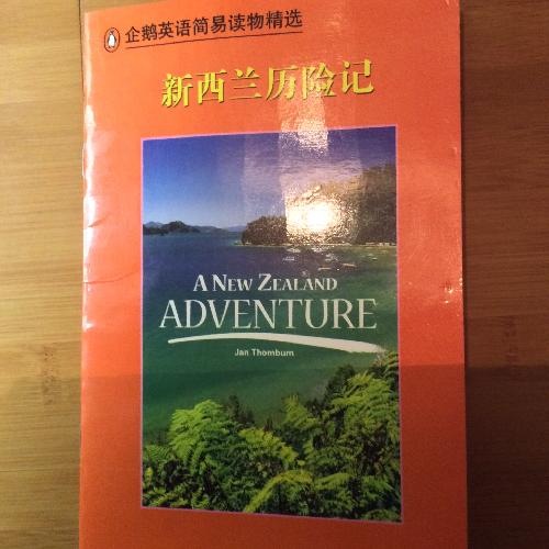 �ҵ�Ӣ���Ķ����ۣ�һ������