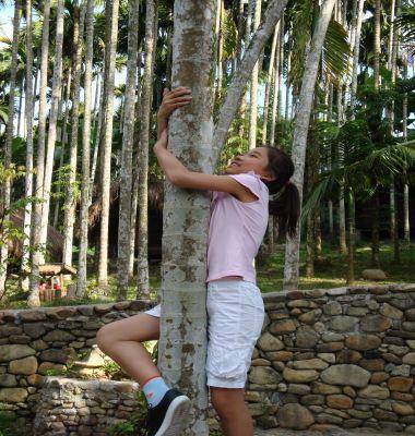 �ҵ��߲ʺ���֮�ã�����������������