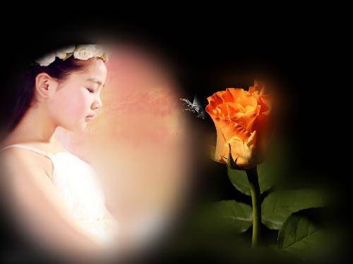 ���������Ҹж�����