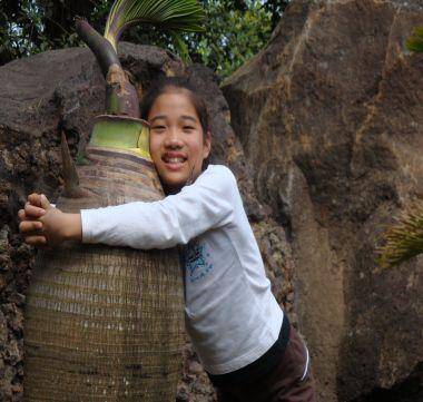 �ҵ��߲ʺ���֮�ã������κ��ڻ�ɽ�ڹ�԰����