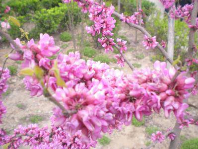 ̤���ͻ�����ͼƬ������