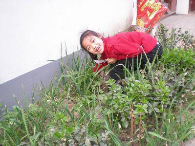 ̤���ͻ�����ͼƬ������