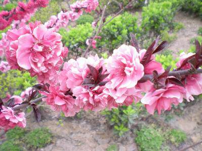 ̤���ͻ�����ͼƬ������