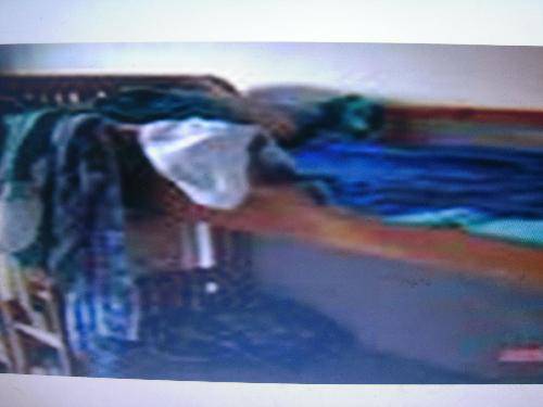 ��������פ�ҡ��ҡ�����