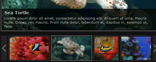 Web ����뿪���ռ���Դ��ȫ���£�