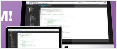 WEB��ƼҺͿ�����Ա��Ҫ��������Դ