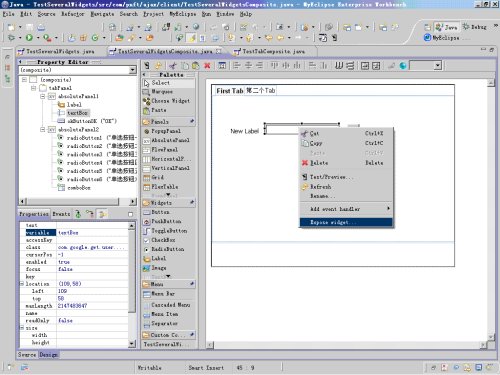GWT - GWT Designer����Ajaxʹ�� (06) - ���ÿؼ�ʹ��