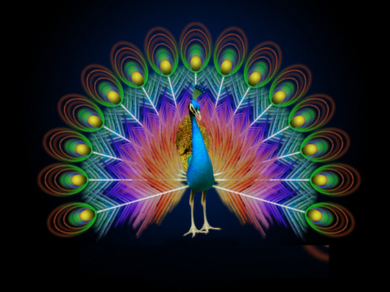 ���Գ������������������Ajaxϵ��֮��֮�쳣����