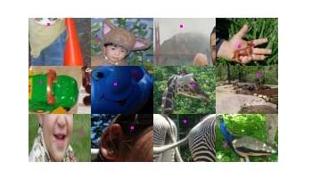 ��ɫ��Ajax����������