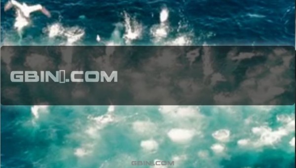 ����������ȫ����Ƶ�����ĳ���jQuery��� - BigVideo.js