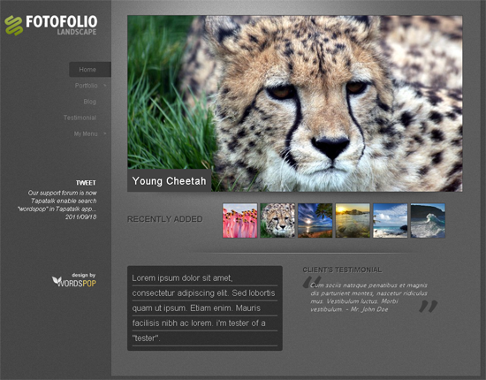 ����2011��50�������wordpress����