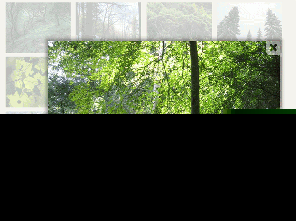 ʮ�����ʳ�¯�� jQuery ���