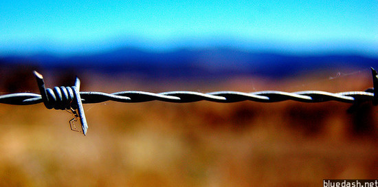 Web�����γ�13��Web Service