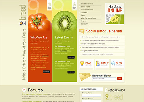 99����������(X)HTML/CSSģ��(ת��blog.bingo929.com������