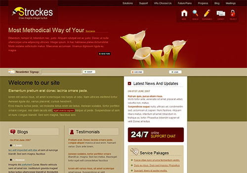 99����������(X)HTML/CSSģ��(ת��blog.bingo929.com������