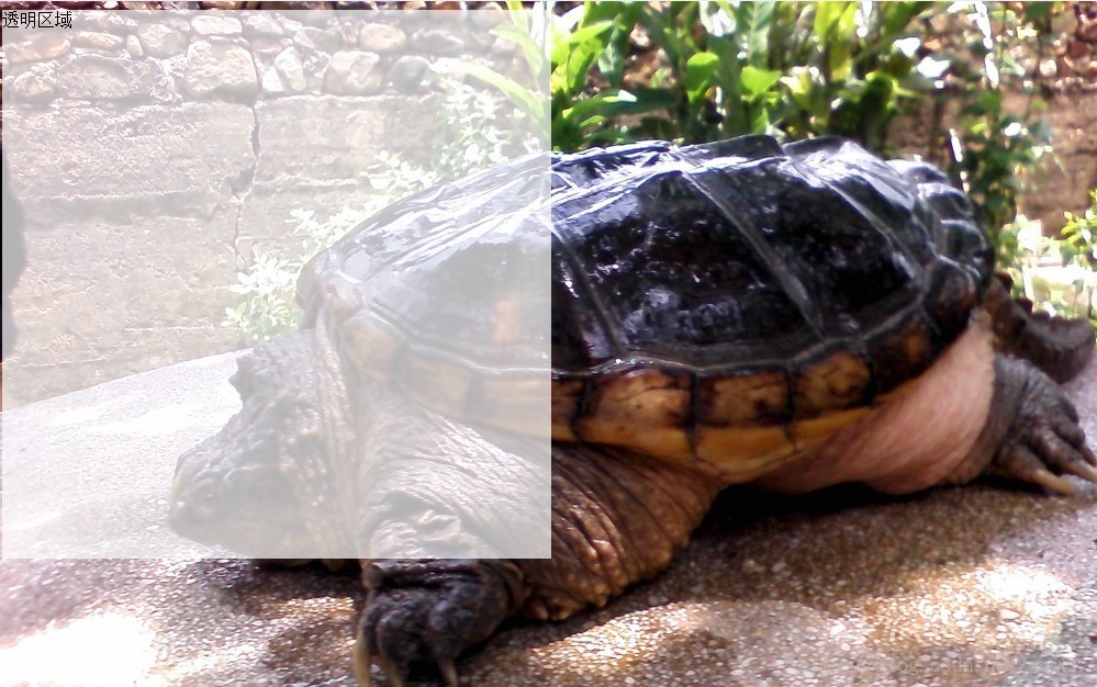 12 Ϊʲôʹ��Html5+CSS3