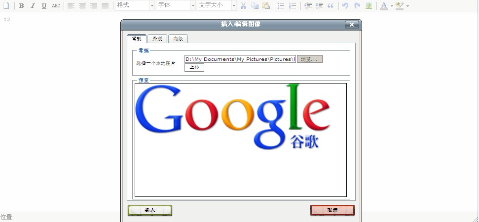 tinyMCE ʩ�û���