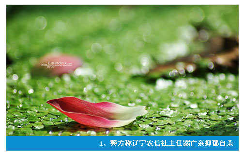 CSS3��animation���Է�������