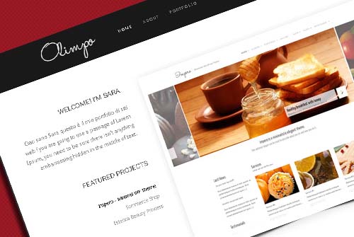 17 Ư������ѵ�HTML��CSSģ��