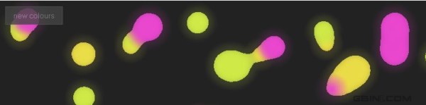 �Ƽ�ʮ�����Լ��ͱ�ǩ�ĳ���ǰ����Ч[��һ��]