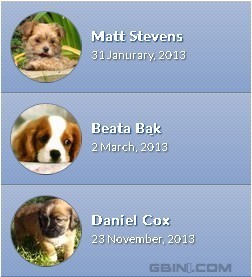 �Ƽ�ʮ�����Լ��ͱ�ǩ�ĳ���ǰ����Ч[��һ��]