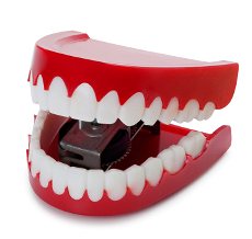 100��������վ�����ķ���