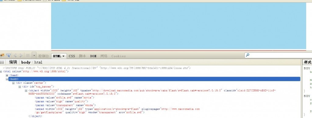 �������������paramԪ�ص���ʧ��