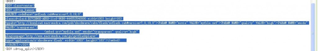 �������������paramԪ�ص���ʧ��