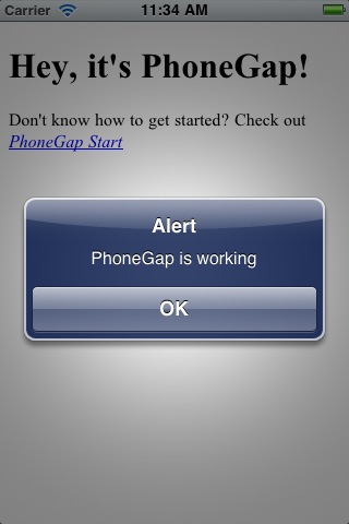 phoneGapƽ����www�ļ��󱨴���ERROR: Start Page at 'www/index.html' was not found