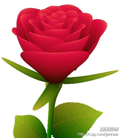 HTML ��õ�廨���ɴ��루ת�أ�