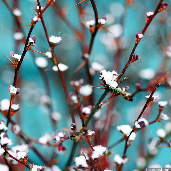 Web�����γ�5��MVC���ģʽ