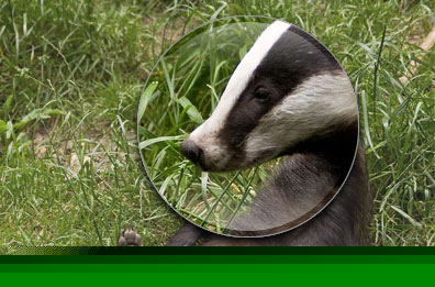 ʮ�����õ�jquery���