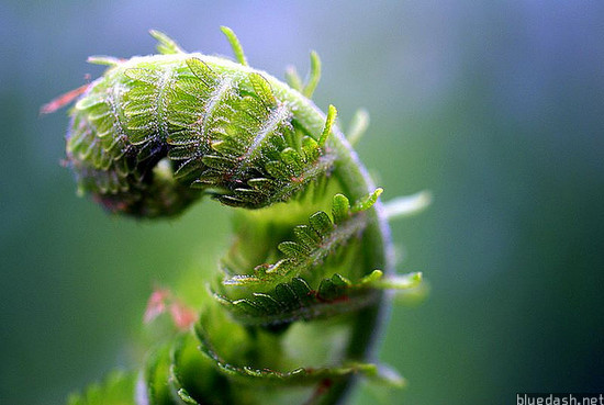 Web�����γ�1��OCP