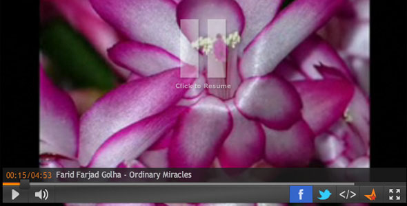 Video Players (2) 20+ 个免费跟高级的 Web 视频播放器