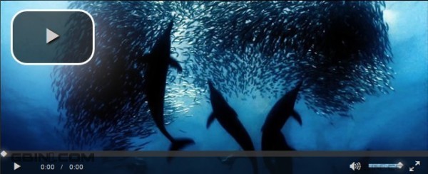 �Ƽ�10�����Լ��ͱ�ǩ�ĳ���ǰ����Ч[��ʮ����]