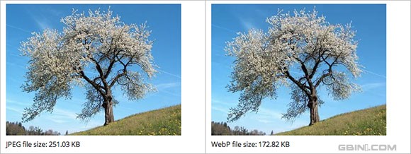 Ӧ��Google WebPͼƬ��ʽ����������վҳ���С