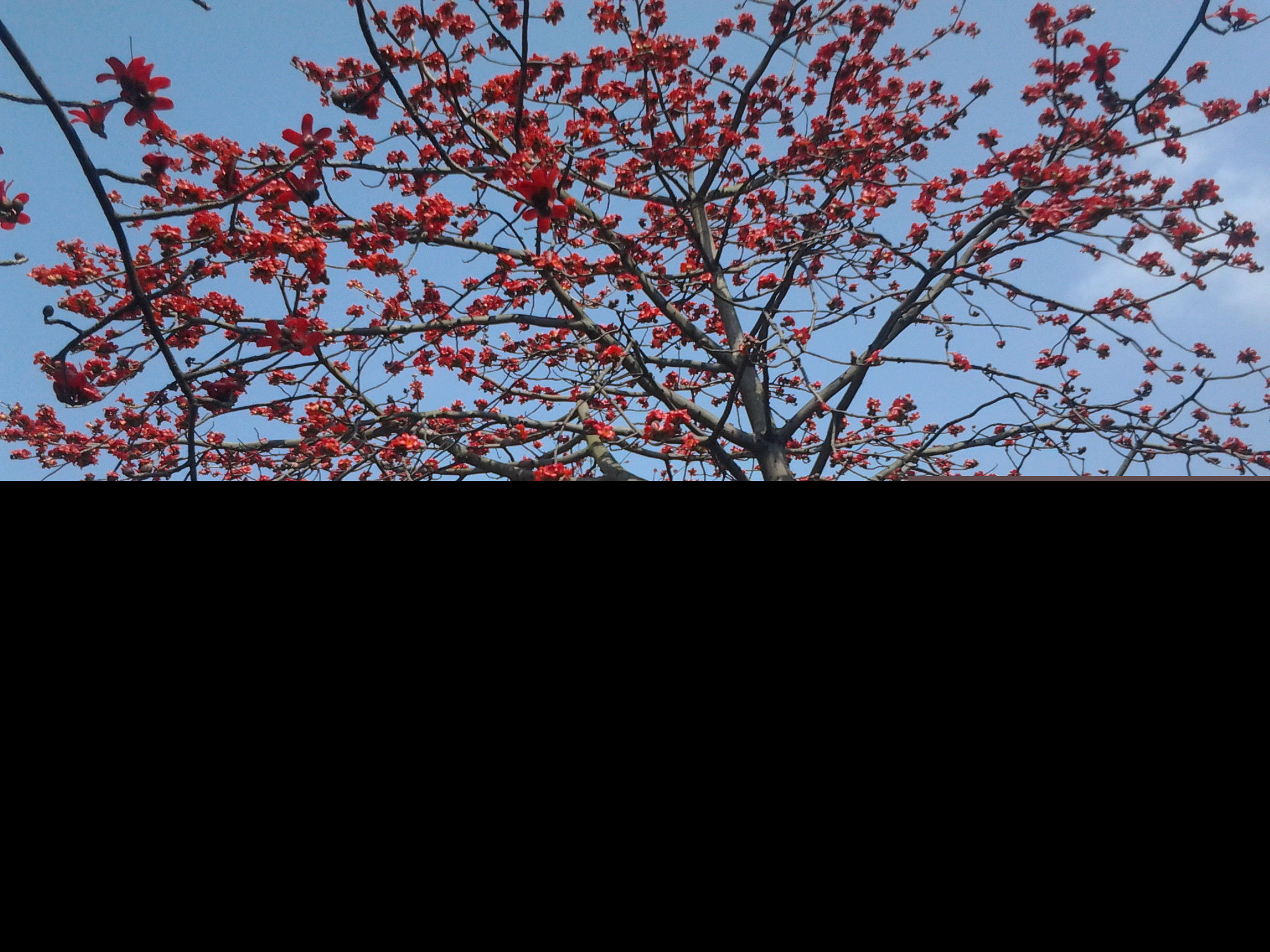 ������ǧ�׵�ľ�޻���׳�ۣ����������㣬��ӭ����